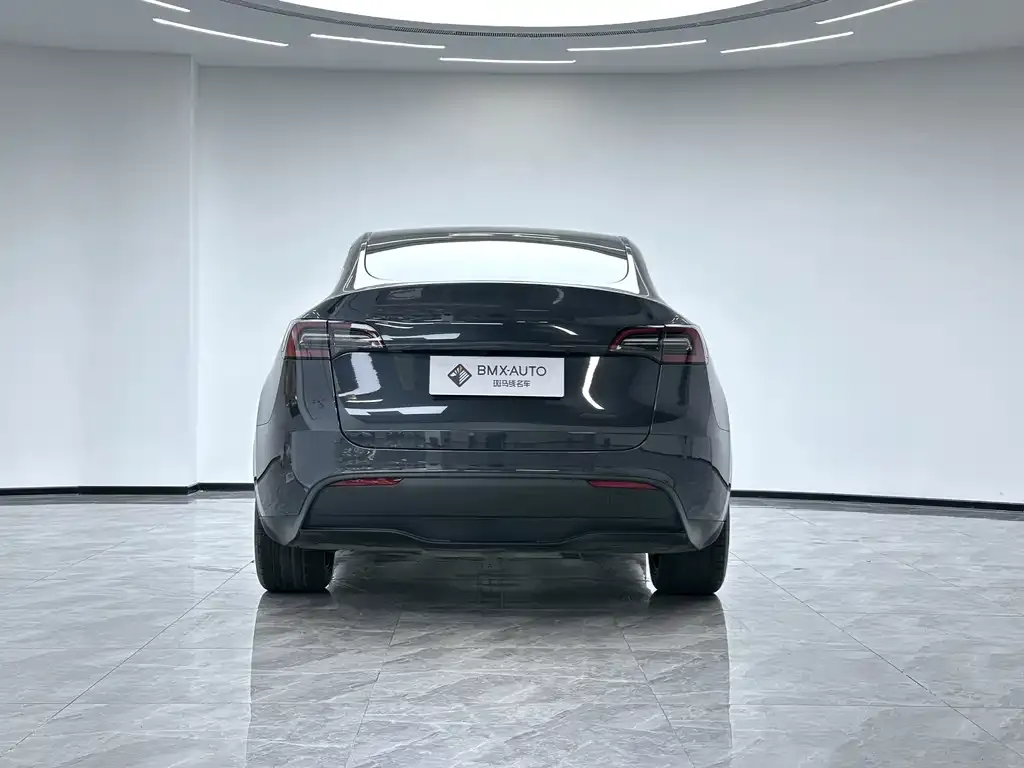 Tesla Model Y 2024 из CN, фото 6