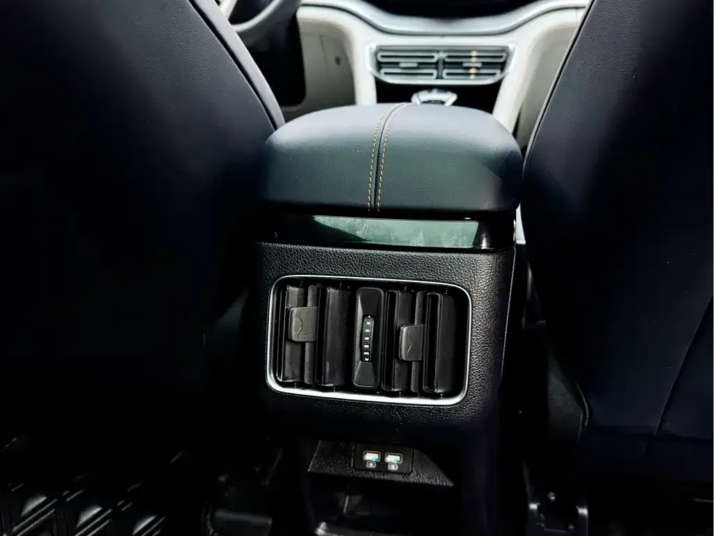BYD PLUS New Energy — фото 4
