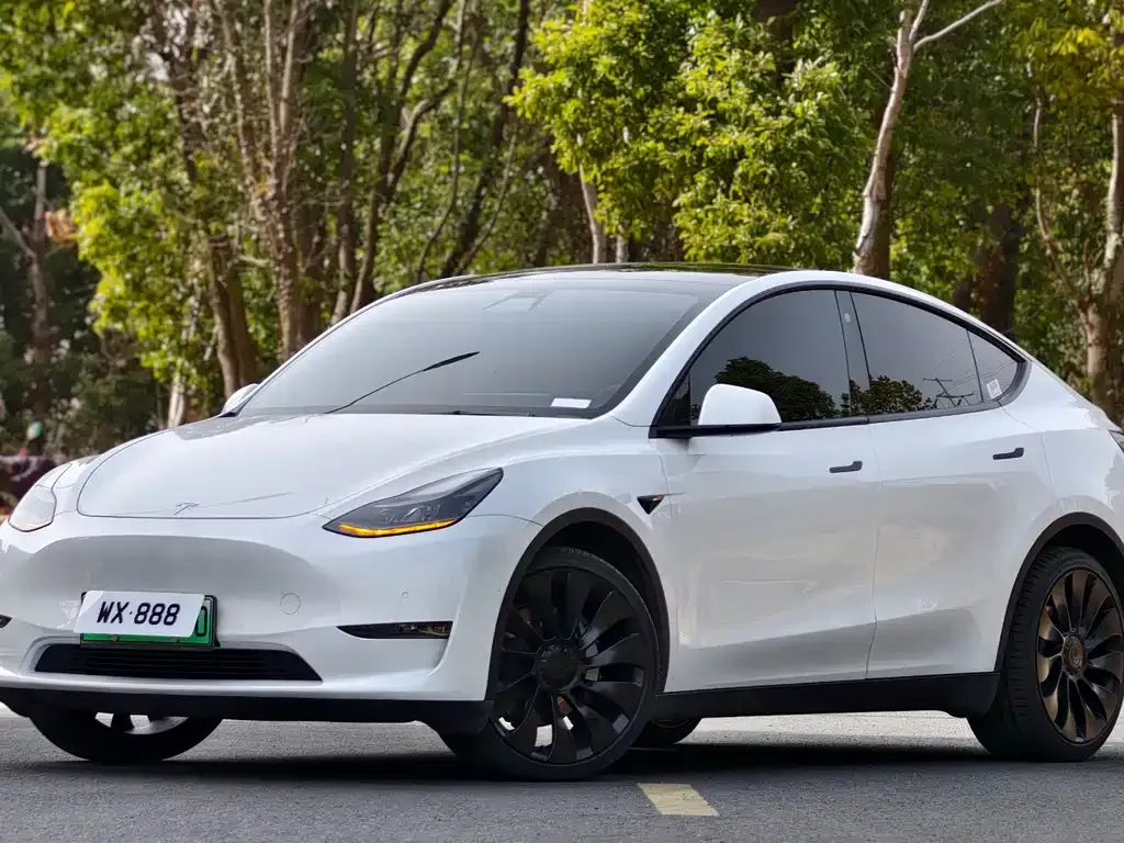 Tesla Model Y — фото 1