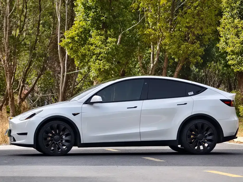 Tesla Model Y — фото 10