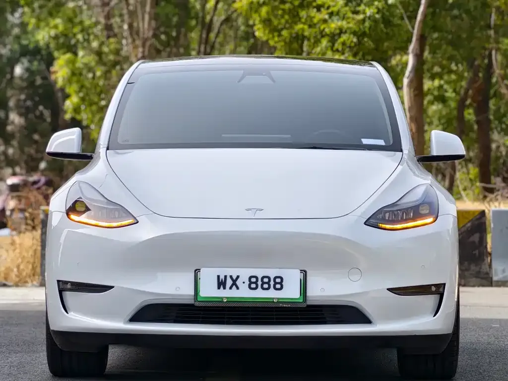Tesla Model Y — фото 7