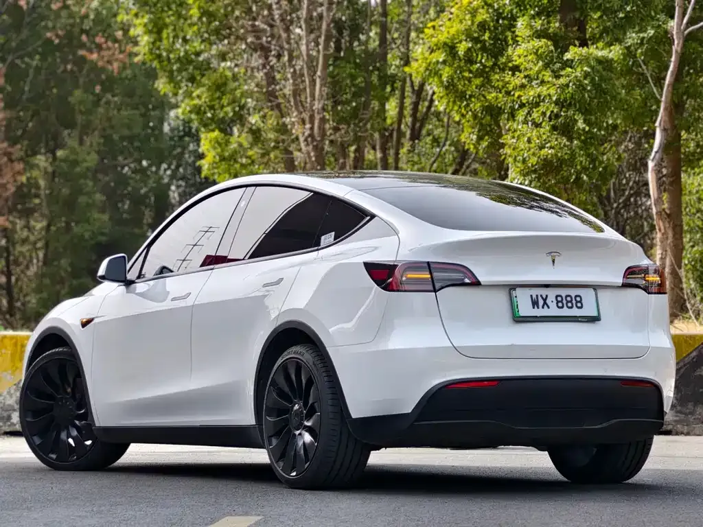 Tesla Model Y — фото 9