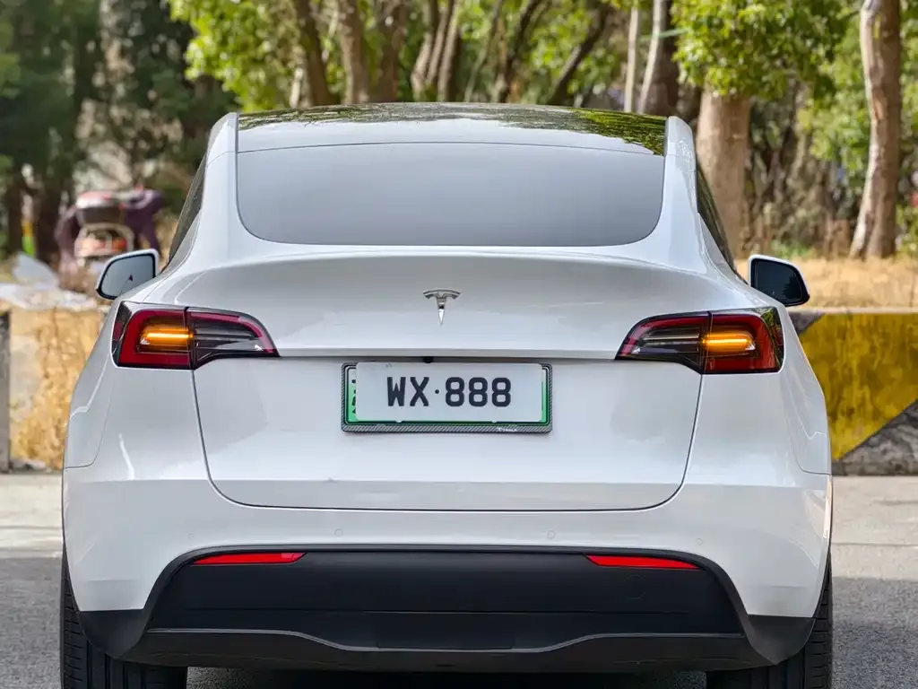 Tesla Model Y — фото 2