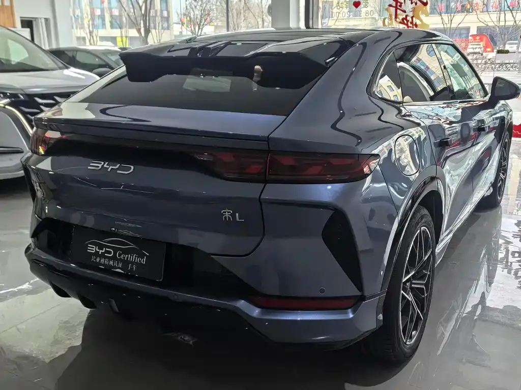 BYD L EV 2025 из CN, фото 4