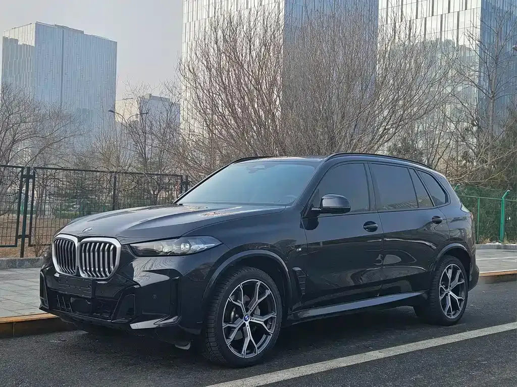 BMW X5 — фото 1