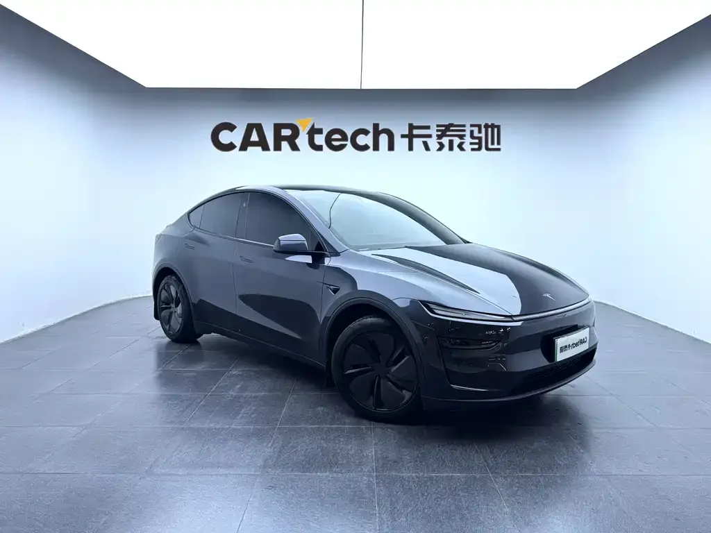 Tesla Model Y — фото 2