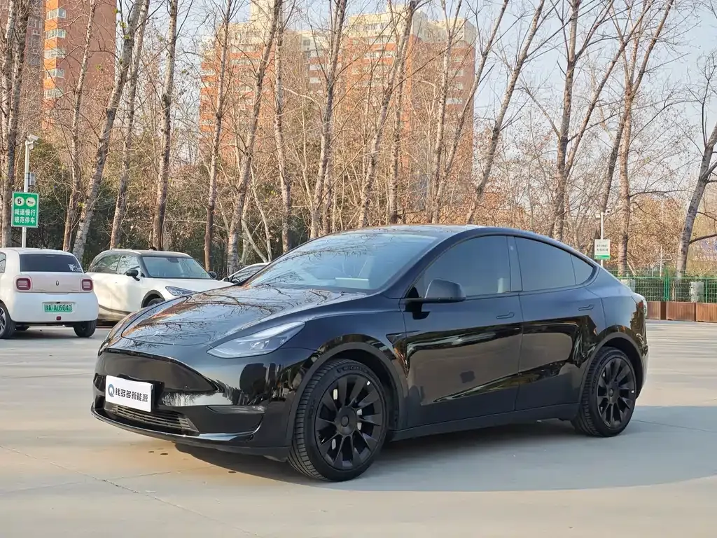 Tesla Model Y — фото 1