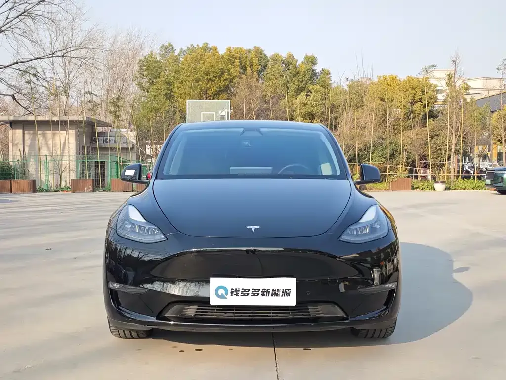 Tesla Model Y — фото 9