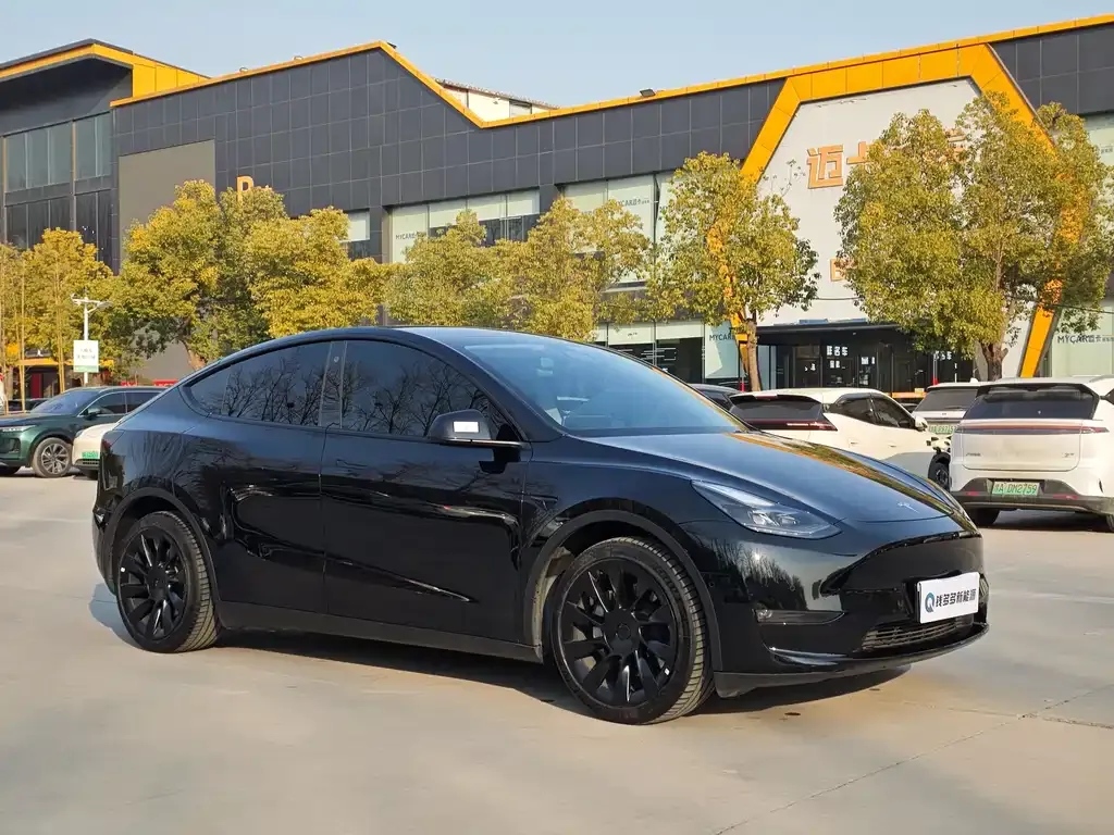 Tesla Model Y — фото 6