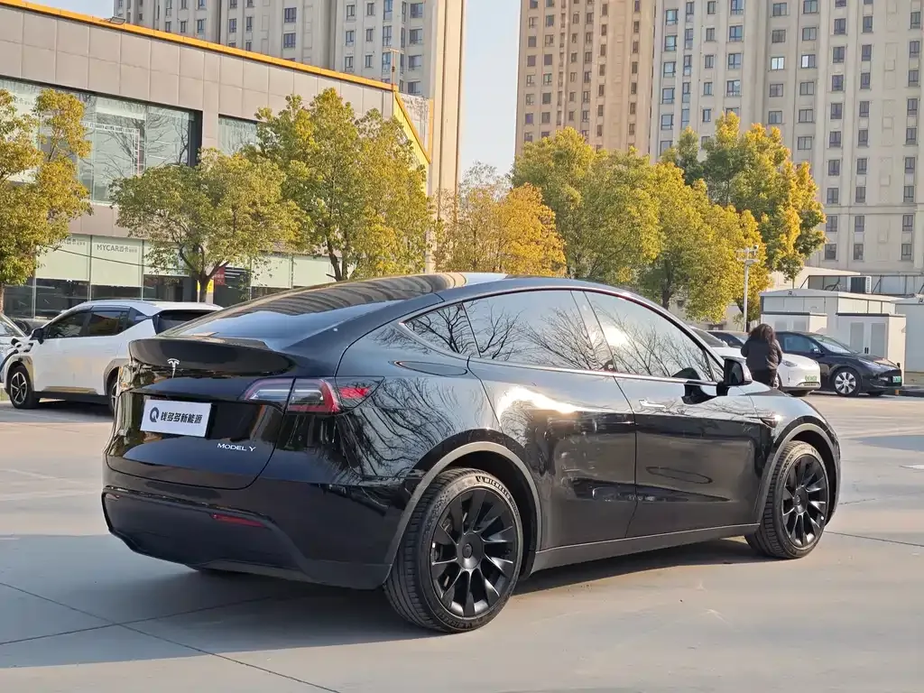 Tesla Model Y — фото 10