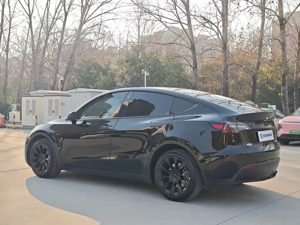 Tesla Model Y — фото 7