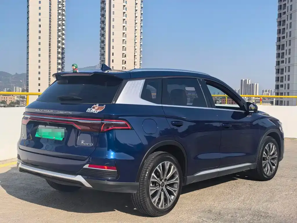 BYD Pro New Energy — фото 7