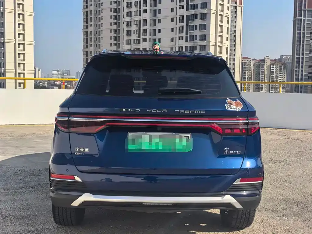 BYD Pro New Energy — фото 4