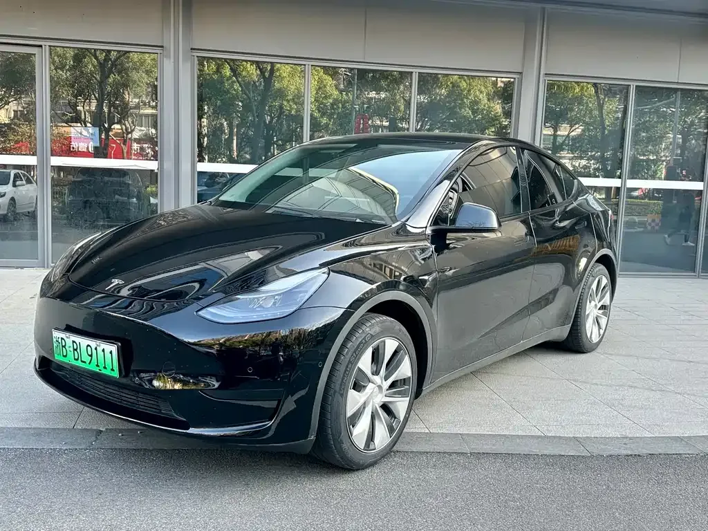 Tesla Model Y — фото 1