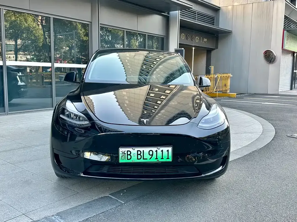 Tesla Model Y — фото 10