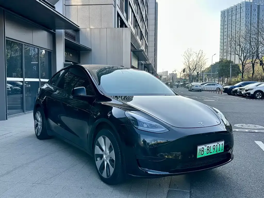 Tesla Model Y — фото 9
