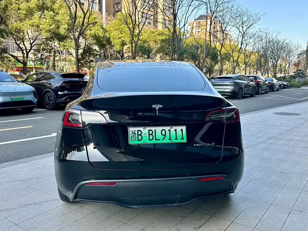 Tesla Model Y — фото 5