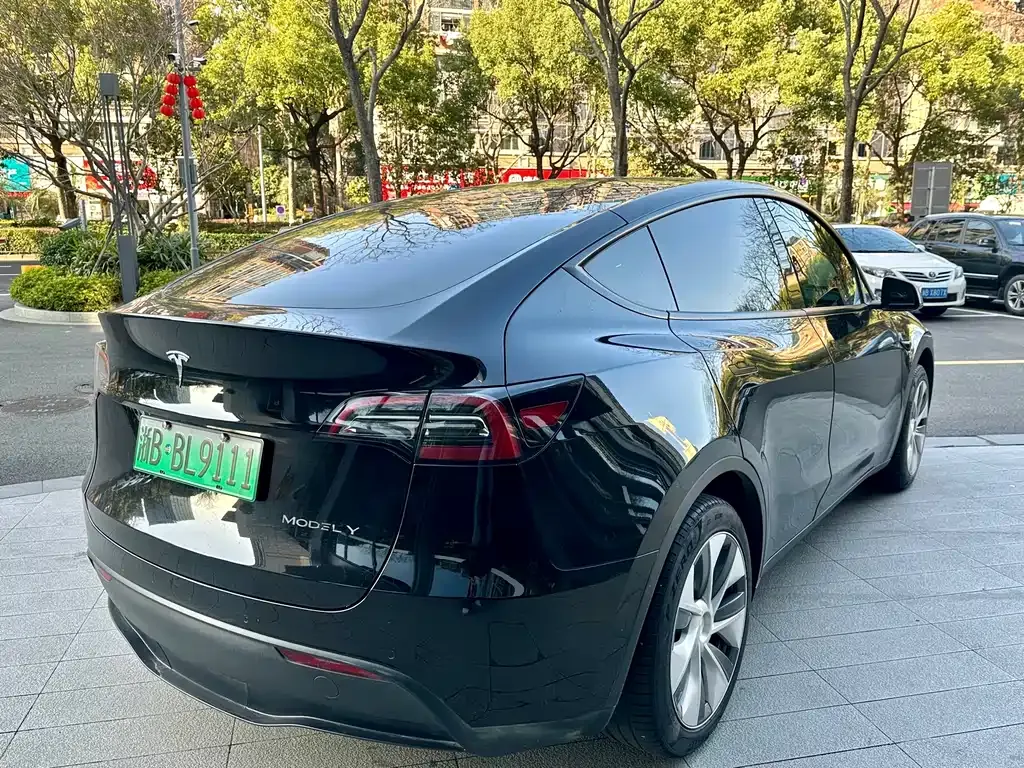 Tesla Model Y — фото 4