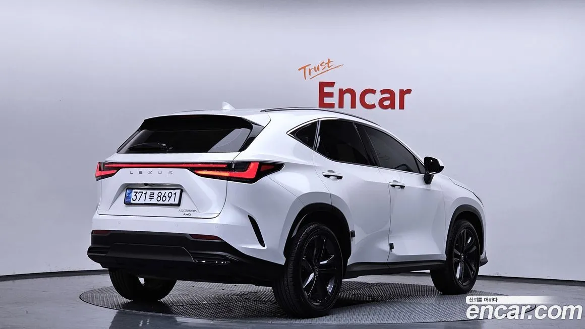 Lexus NX 2024 из KR, фото 10