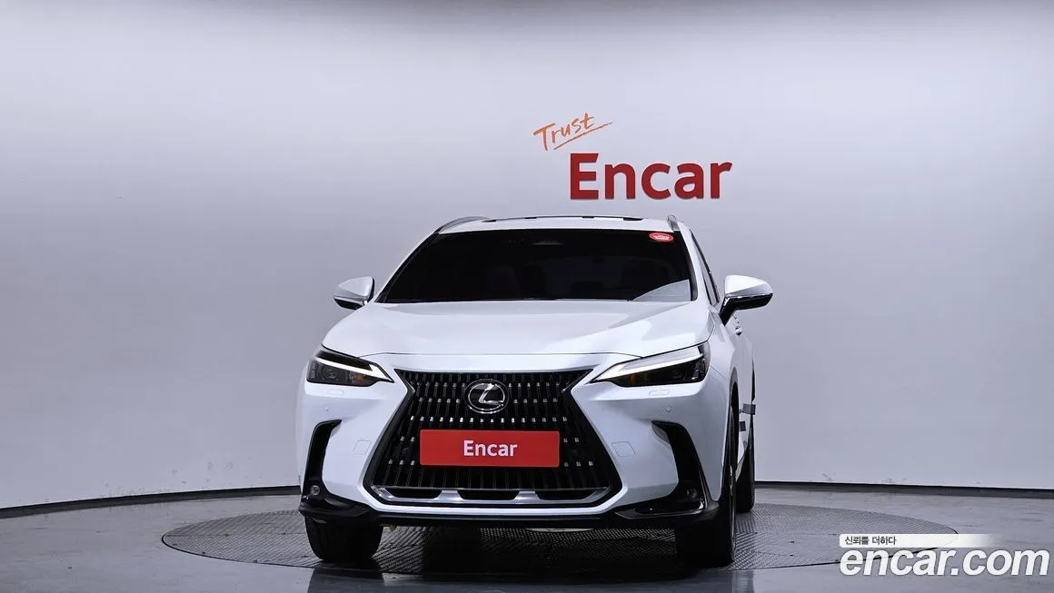 Lexus NX 2024 из KR, фото 5