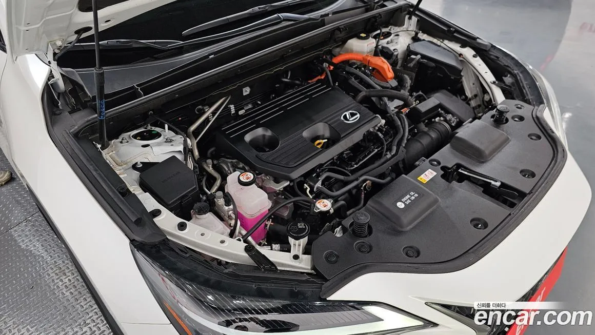 Lexus NX 2024 из KR, фото 9