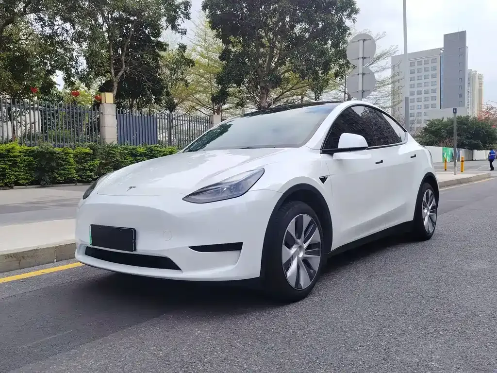 Tesla Model Y — фото 1