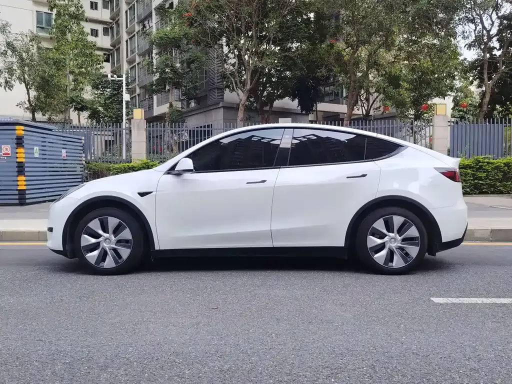 Tesla Model Y — фото 4