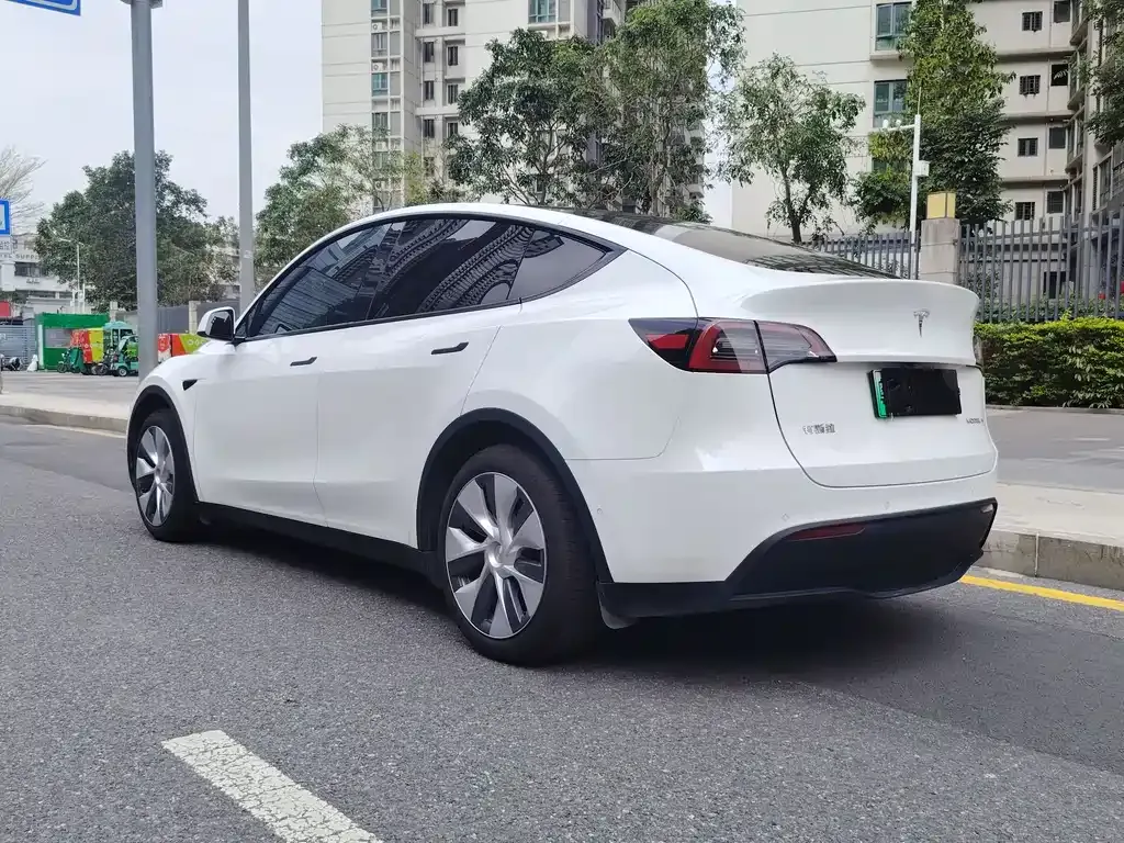 Tesla Model Y — фото 8