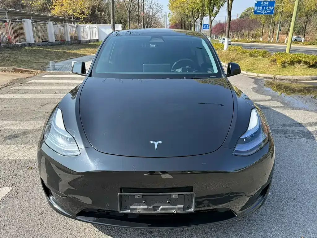 Tesla Model Y — фото 8