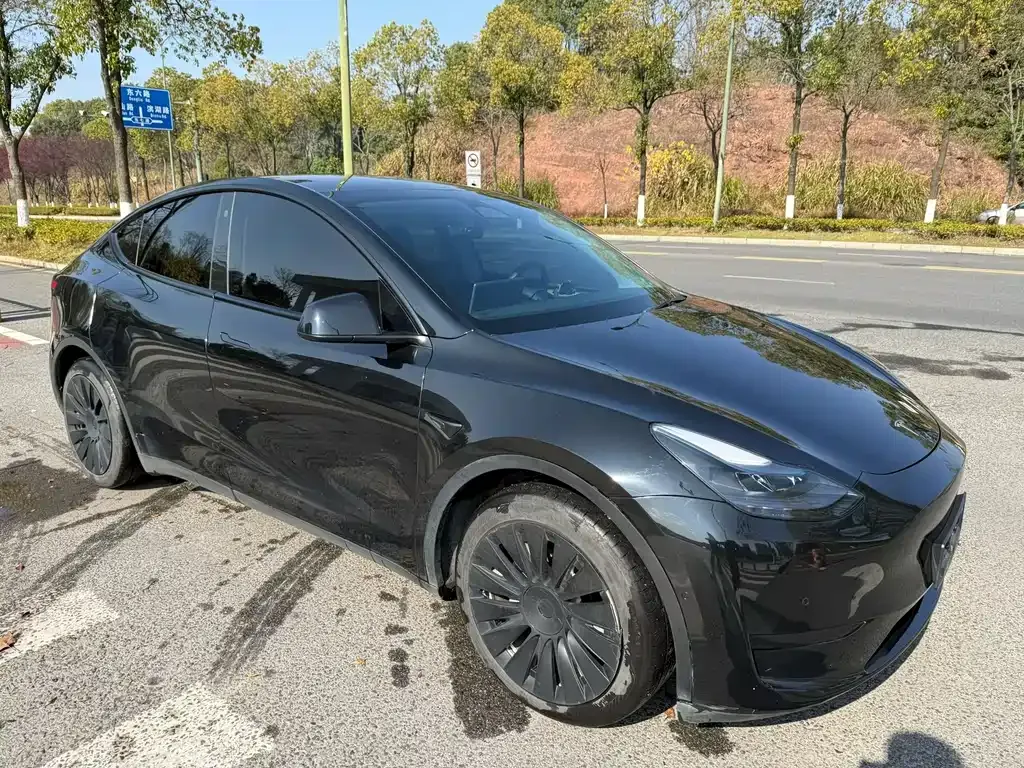 Tesla Model Y — фото 7