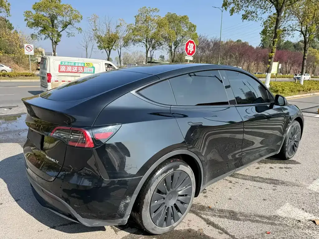Tesla Model Y — фото 9