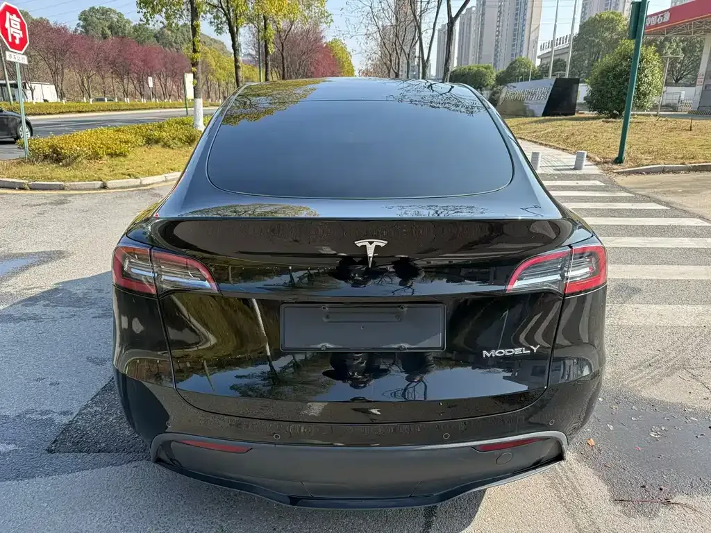 Tesla Model Y — фото 10