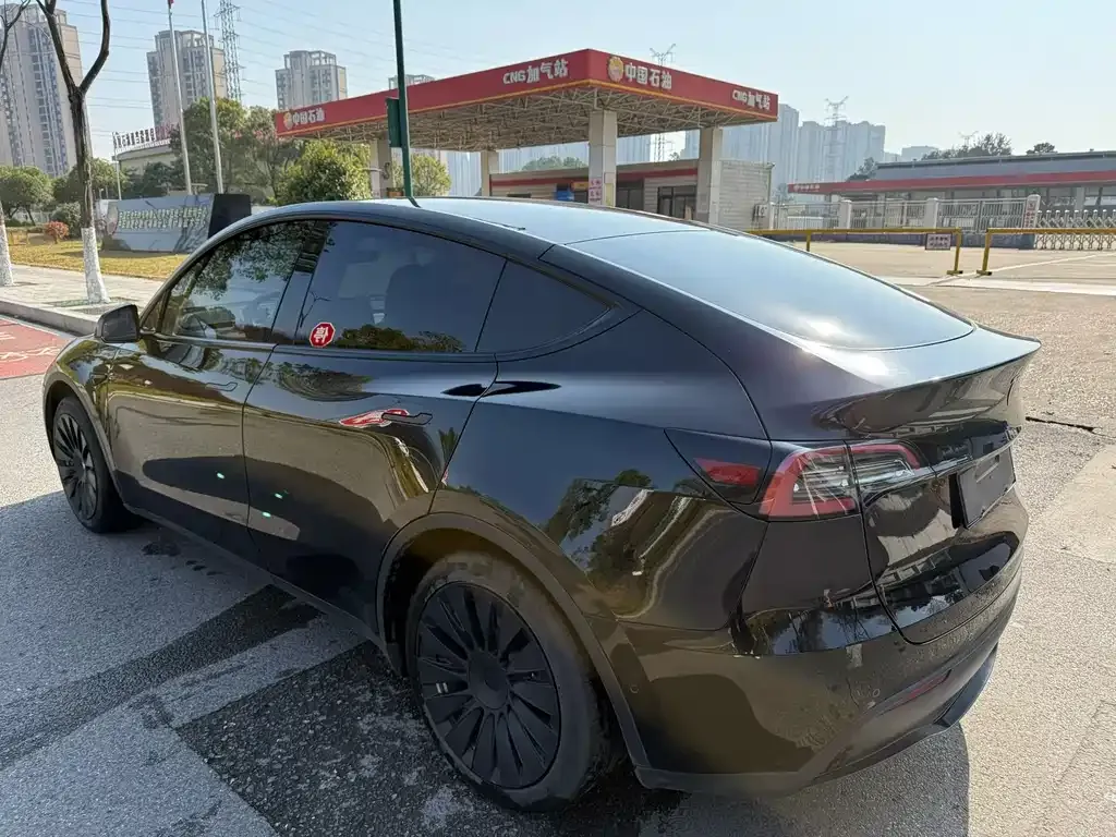 Tesla Model Y — фото 5