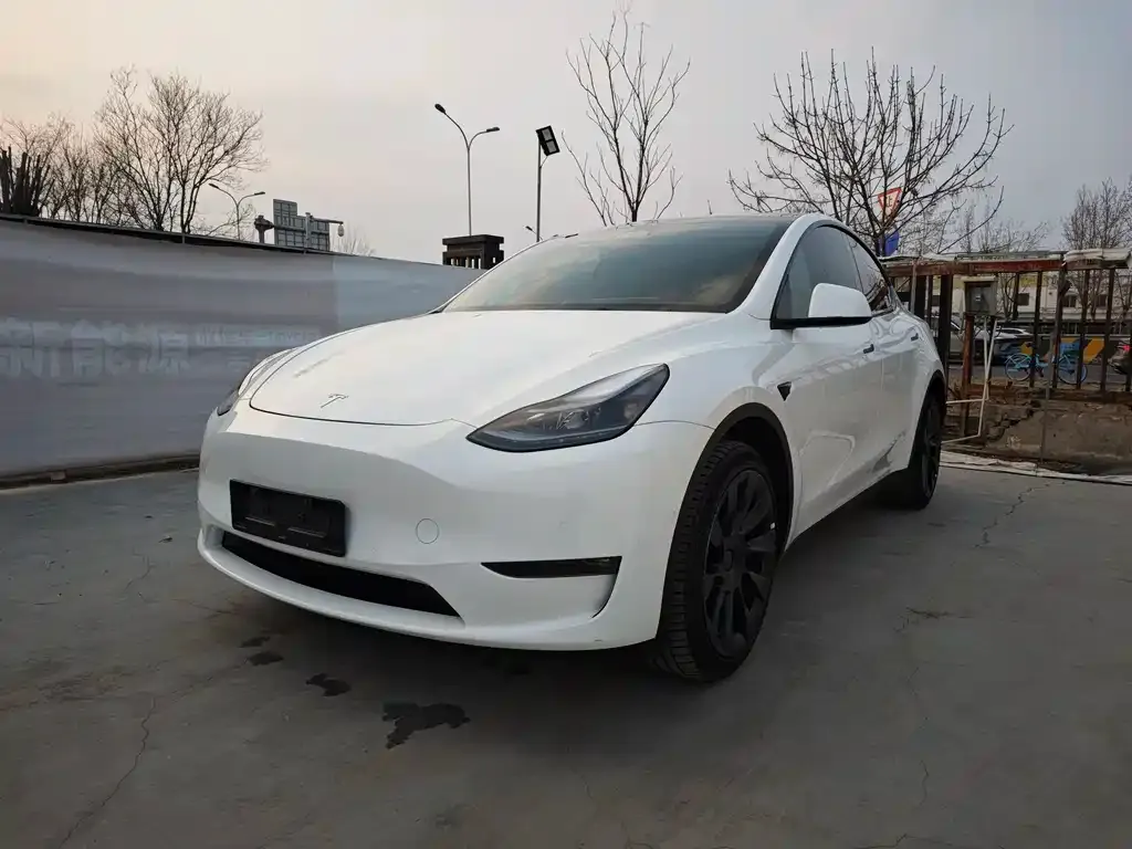Tesla Model Y 2024 из CN, фото 1