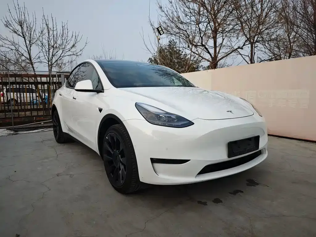 Tesla Model Y 2024 из CN, фото 6