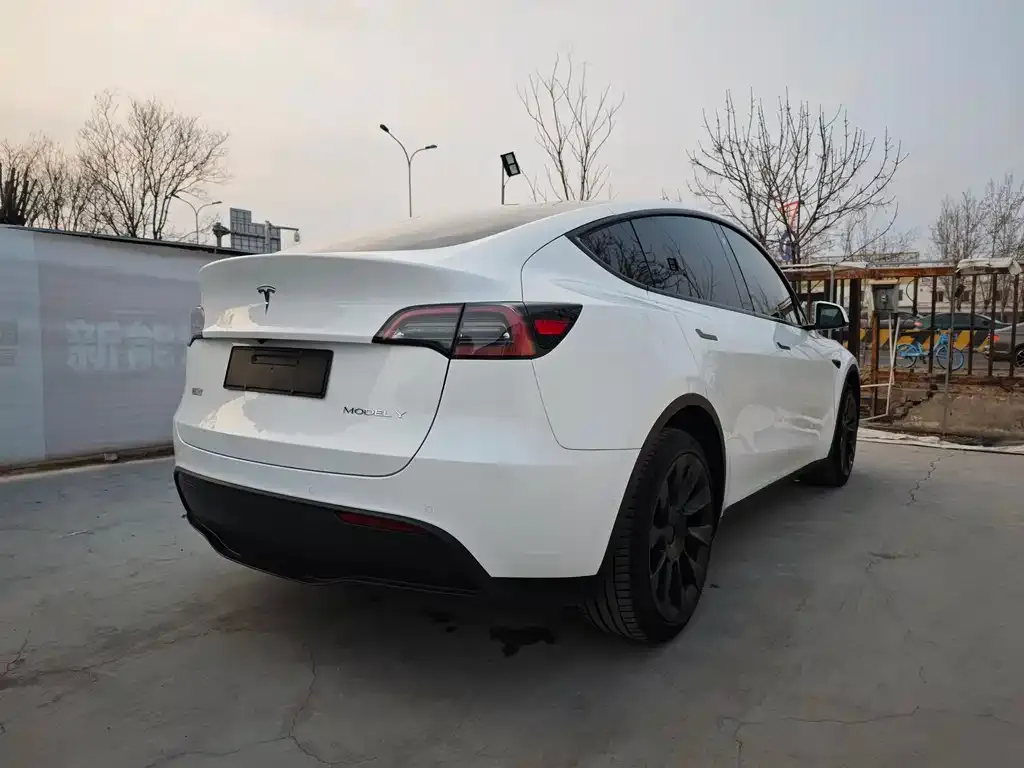 Tesla Model Y 2024 из CN, фото 4