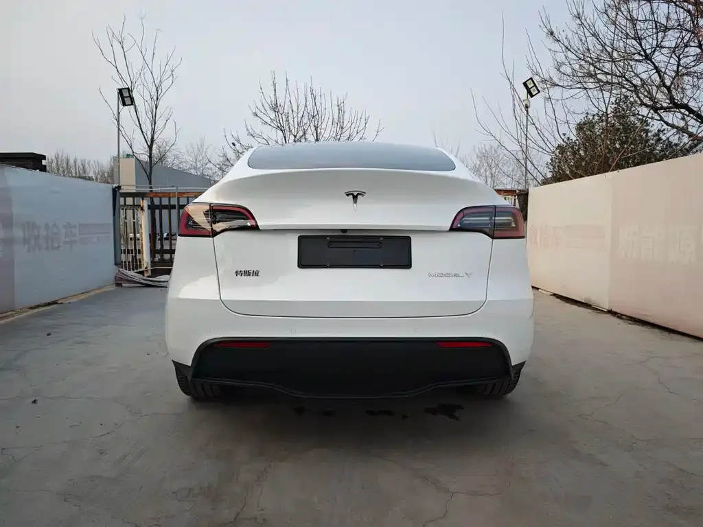 Tesla Model Y 2024 из CN, фото 2