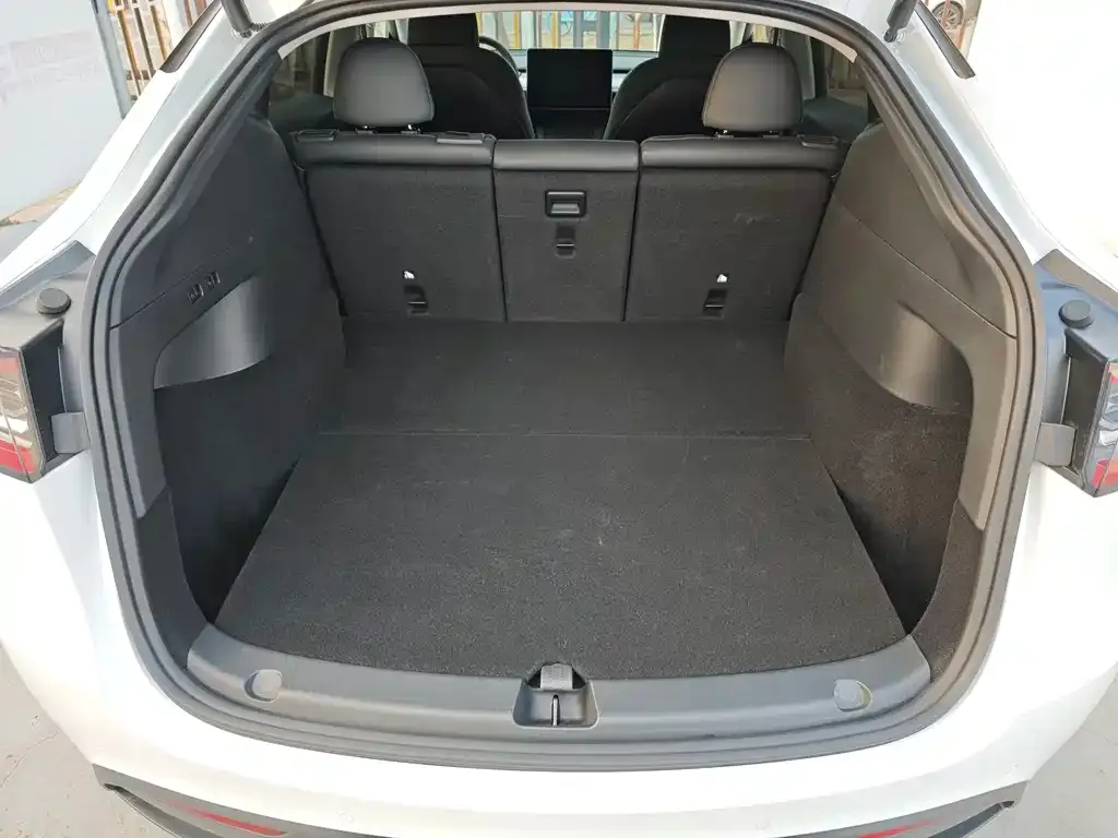Tesla Model Y 2024 из CN, фото 3