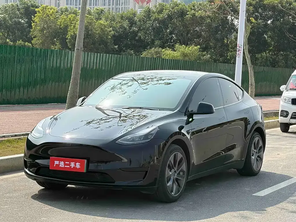 Tesla Model Y — фото 1