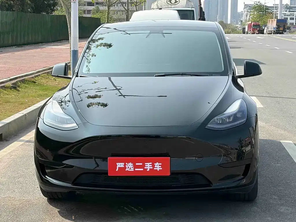 Tesla Model Y — фото 6