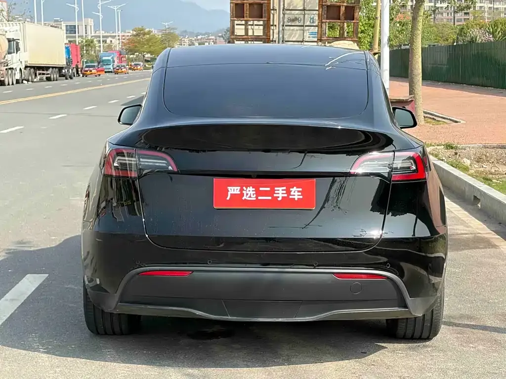 Tesla Model Y — фото 5