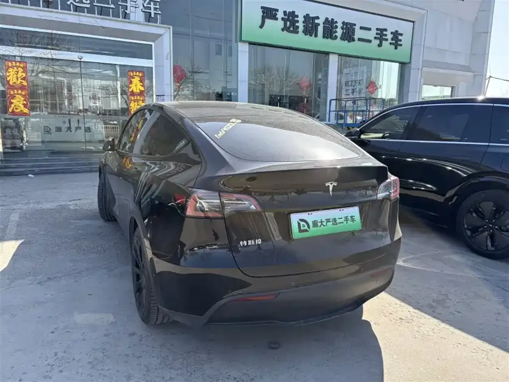 Tesla Model Y — фото 10