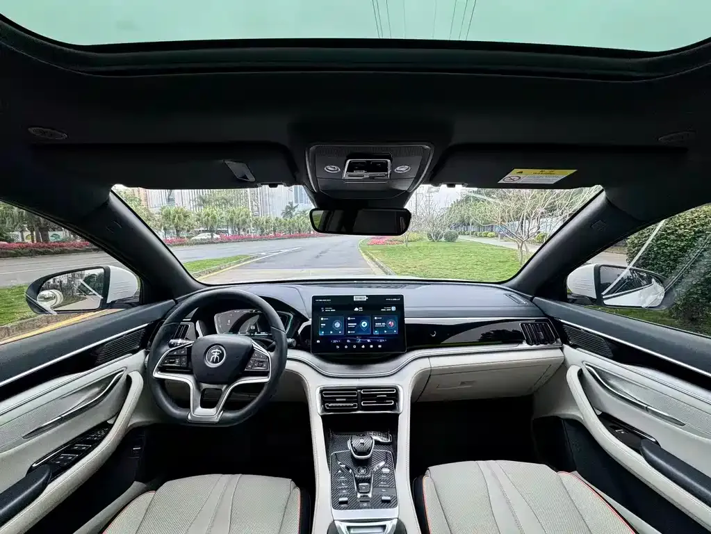 BYD PLUS New Energy 2023 из CN, фото 5