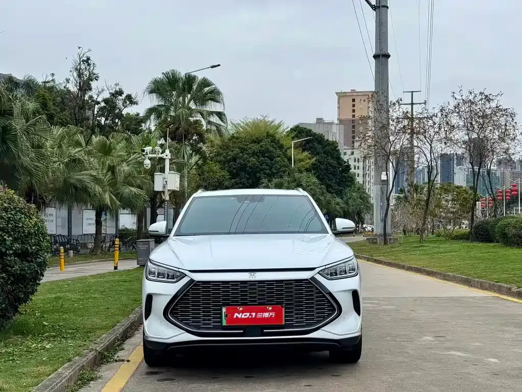 BYD PLUS New Energy 2023 из CN, фото 4