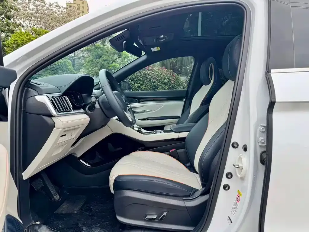 BYD PLUS New Energy 2023 из CN, фото 2
