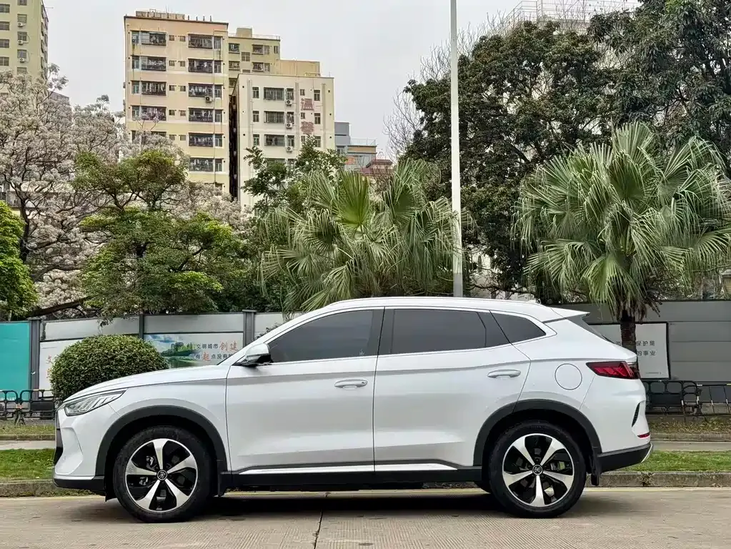 BYD PLUS New Energy 2023 из CN, фото 3