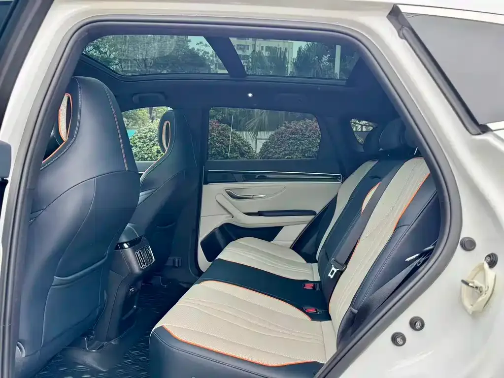 BYD PLUS New Energy 2023 из CN, фото 6