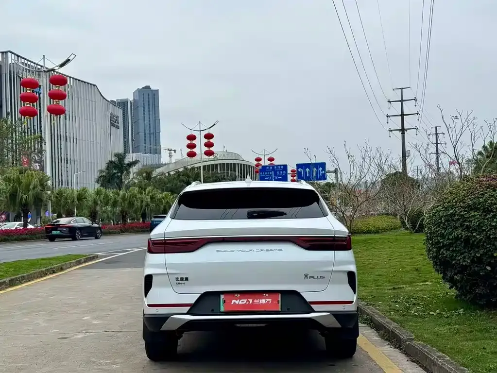 BYD PLUS New Energy 2023 из CN, фото 7