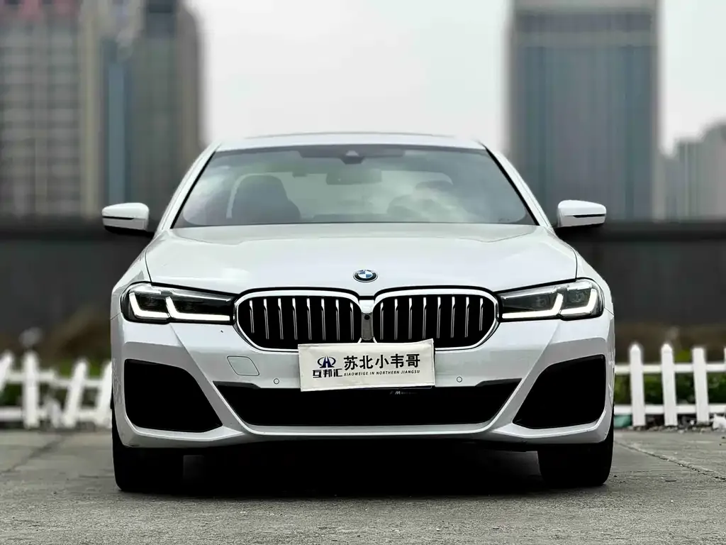 BMW 5 Series 2023 из CN, фото 1