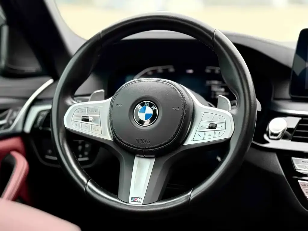 BMW 5 Series 2023 из CN, фото 8